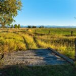 Lot 5 Penwell Bridge Farm