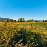 Lot 5 Penwell Bridge Farm