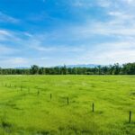 Bozeman MT 59718 - 3