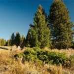 Lot 5 Upper Whitefish Drive