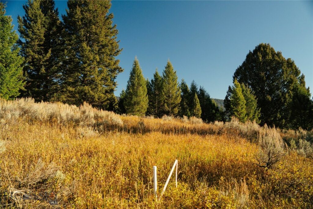 Big Sky MT 59716 - 7