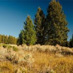 Lot 5 Upper Whitefish Drive