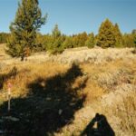 Big Sky MT 59716 - 8