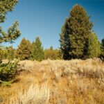 Lot 5 Upper Whitefish Drive