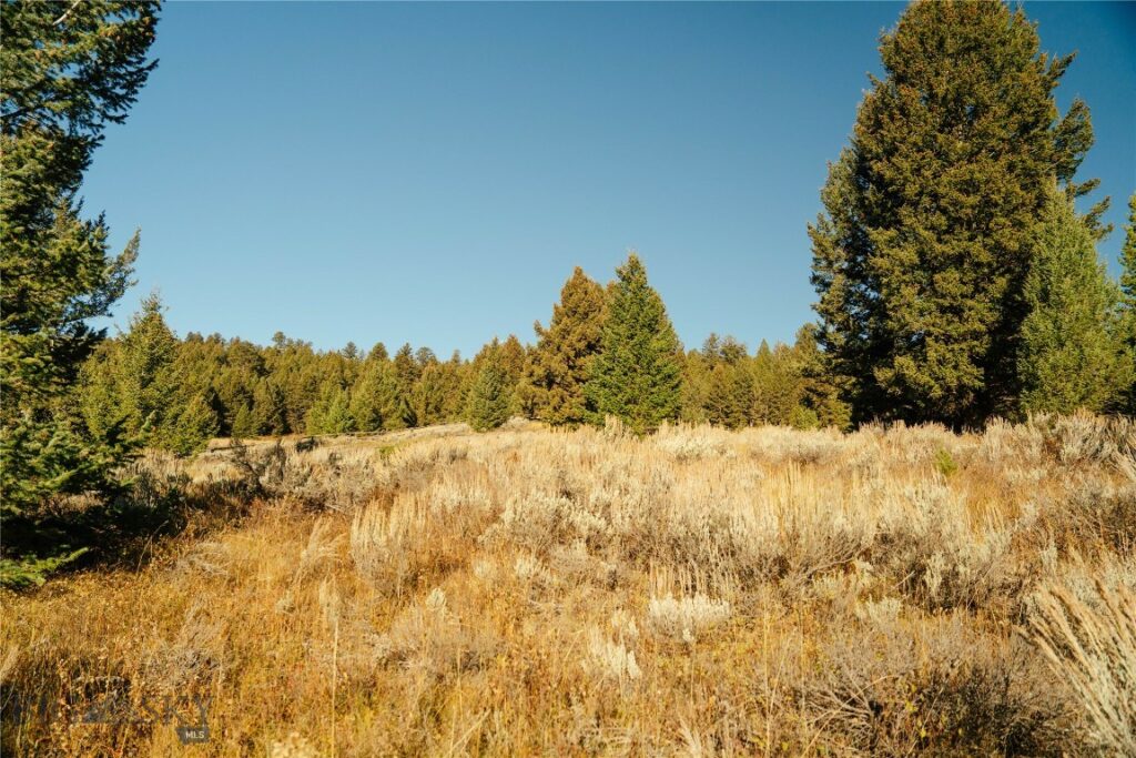 Big Sky MT 59716 - 9