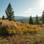 Big Sky MT 59716 - 10