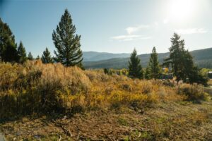 Lot 5 Upper Whitefish Drive, Big Sky MT 59716
