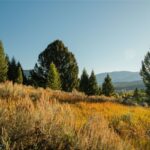 Big Sky MT 59716 - 4