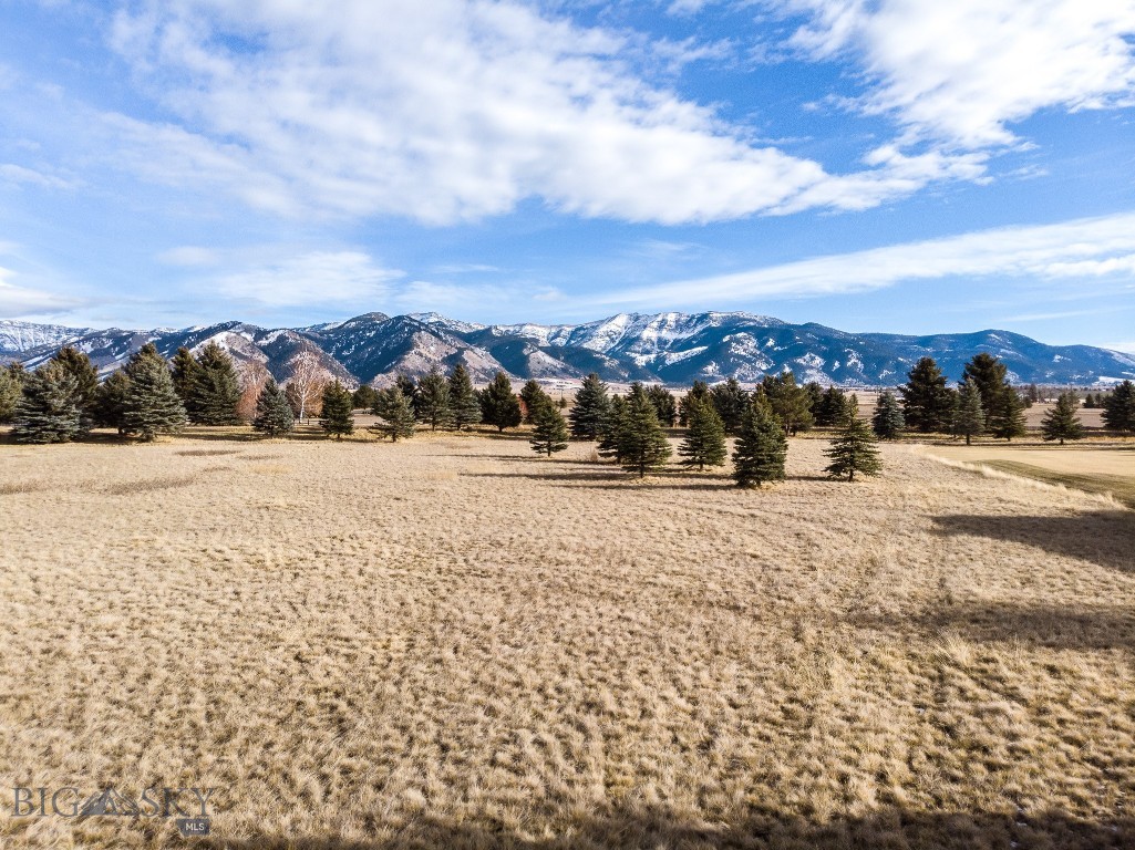 Bozeman MT 59715 - 7