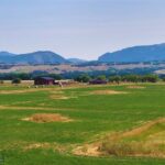 Bozeman MT 59718 - 9