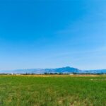 Bozeman MT 59718 - 5