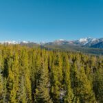 Lot 7 Settlement Trail