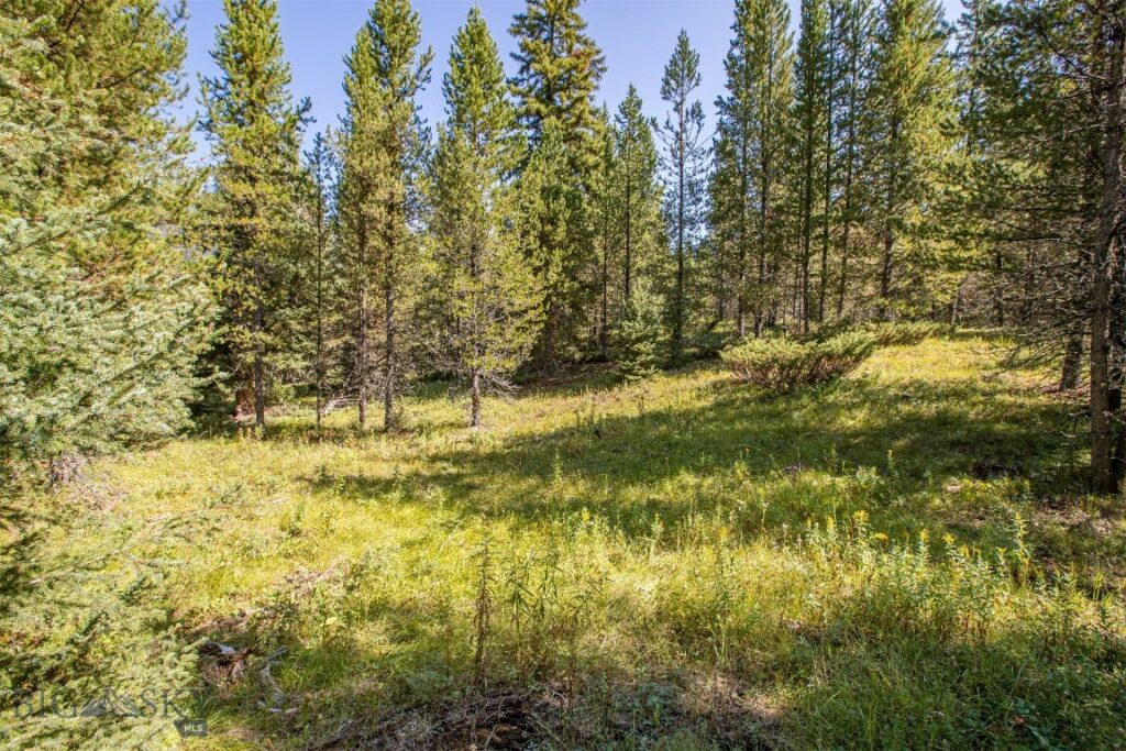 Big Sky MT 59716 - 6