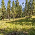 Big Sky MT 59716 - 6