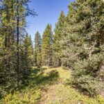 Big Sky MT 59716 - 7