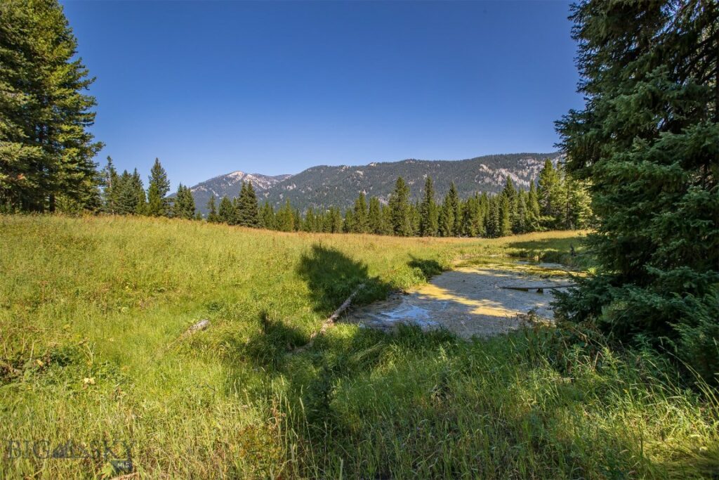 Big Sky MT 59716 - 9