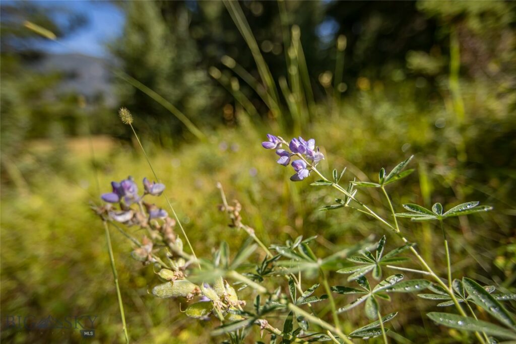 Big Sky MT 59716 - 10