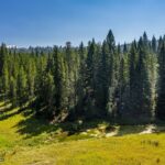 Big Sky MT 59716 - 15