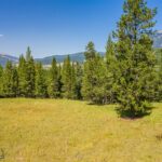 Big Sky MT 59716 - 2