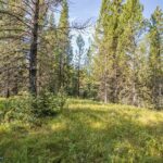 Big Sky MT 59716 - 17