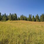 Big Sky MT 59716 - 3