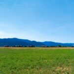 Bozeman MT 59718 - 4