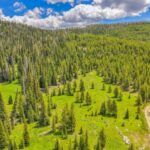 NHN Beehive Basin Road