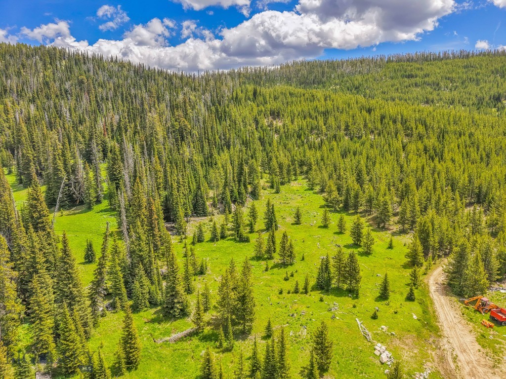 NHN Beehive Basin Road