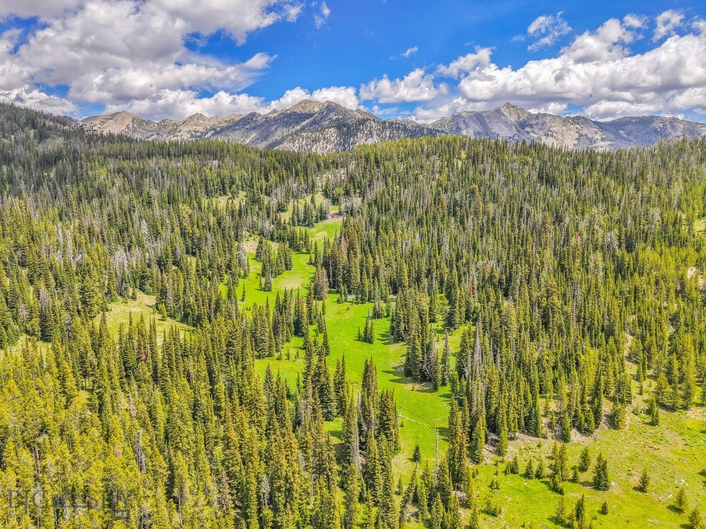 Big Sky MT 59730 - 2