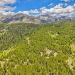 NHN Beehive Basin Road