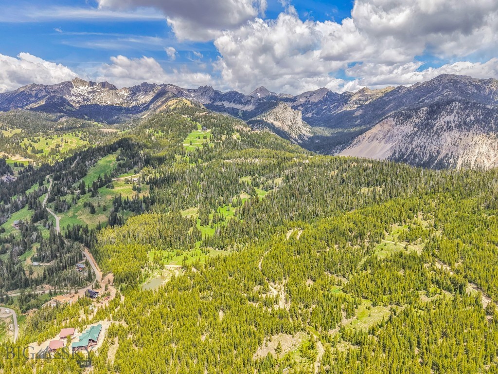 NHN Beehive Basin Road