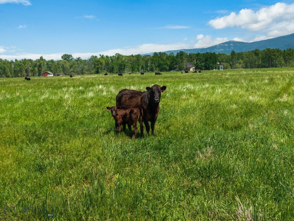 Bozeman MT 59718 - 10