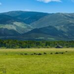 Bozeman MT 59718 - 13