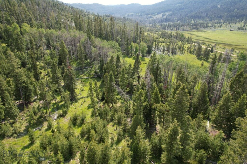 NHN Flume Gulch