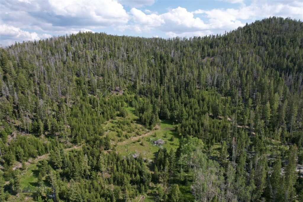 NHN Flume Gulch