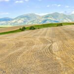 Belgrade MT 59714 - 6