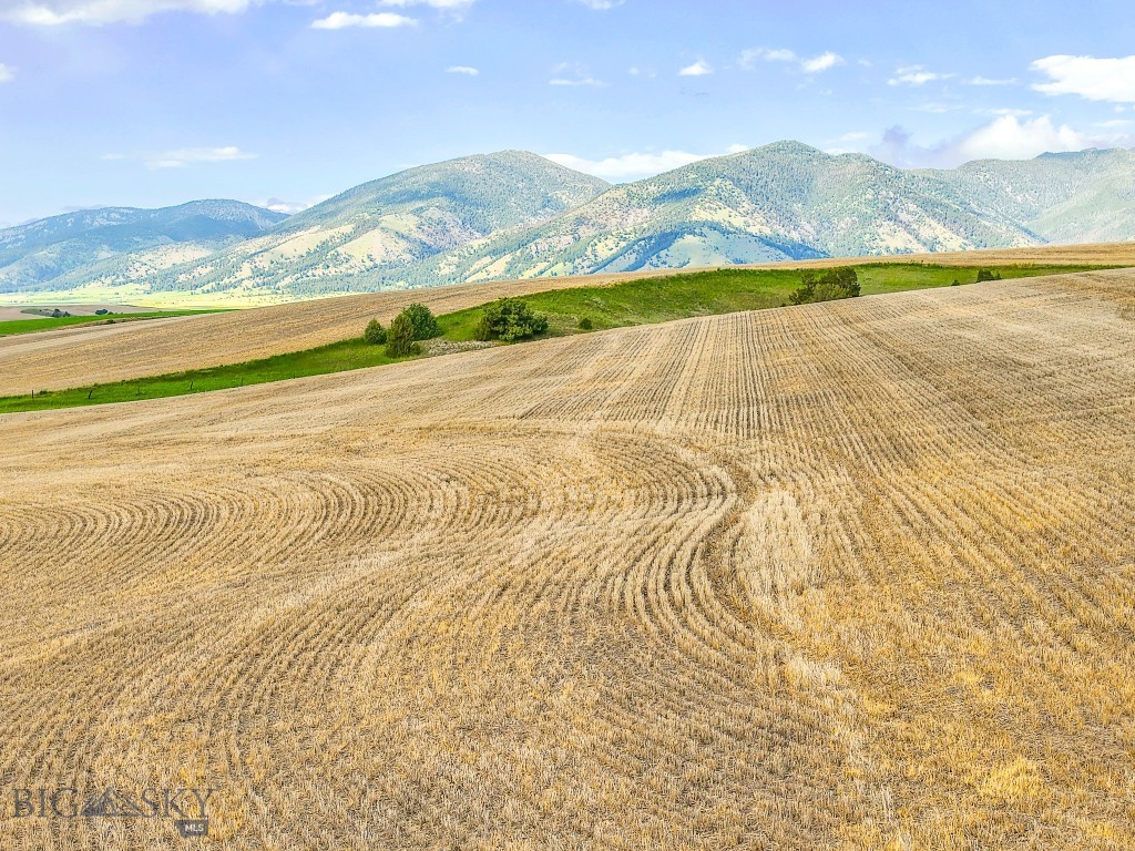 Belgrade MT 59714 - 6