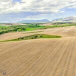 Belgrade MT 59714 - 8