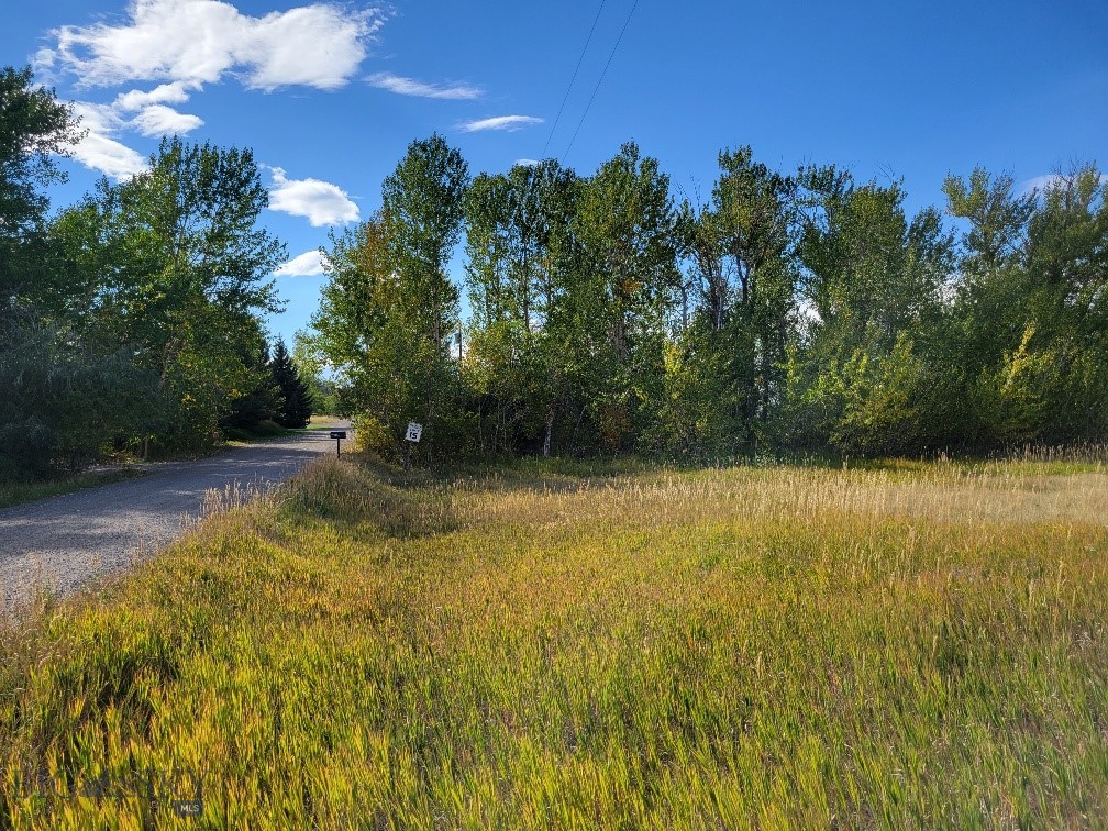 NHN Hyalite Canyon Road