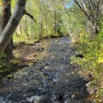 NHN Hyalite Canyon Road