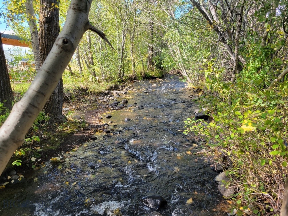 NHN Hyalite Canyon Road