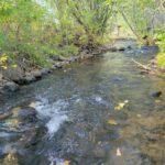 Bozeman MT 59715 - 7