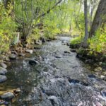 NHN Hyalite Canyon Road