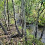 NHN Hyalite Canyon Road