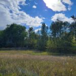 Bozeman MT 59715 - 11