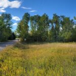 Bozeman MT 59715 - 12