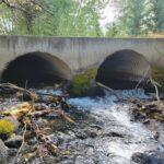 Bozeman MT 59715 - 3