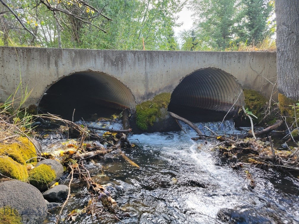 Bozeman MT 59715 - 3