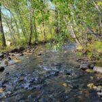 NHN Hyalite Canyon Road