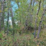 Bozeman MT 59715 - 5